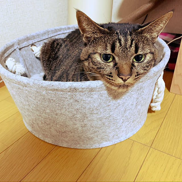 kuromiさんの実例写真
