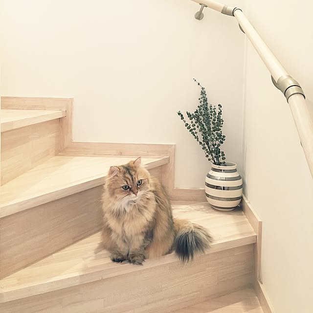 koumeさんの実例写真