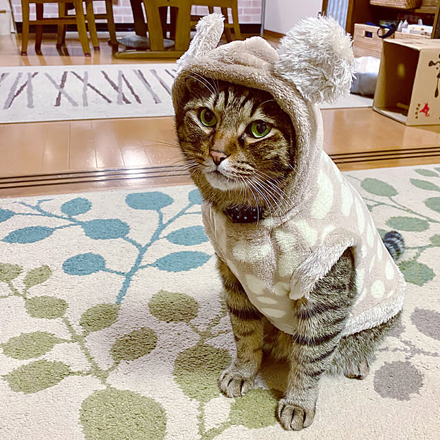 cocomaroさんの実例写真