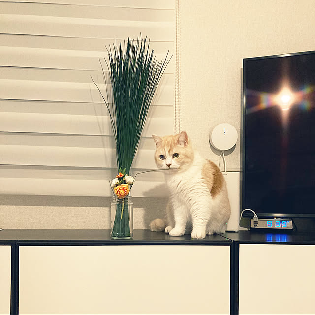 H.Tさんの実例写真