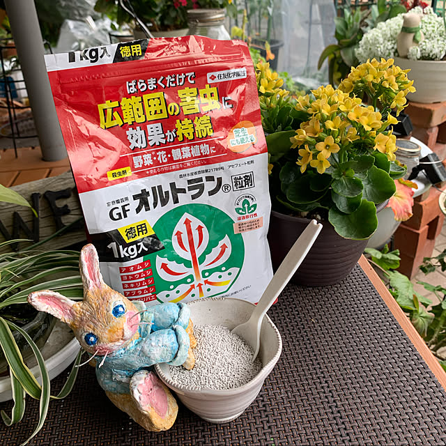 Aqettyさんの実例写真