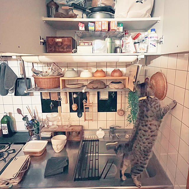 Mさんの実例写真