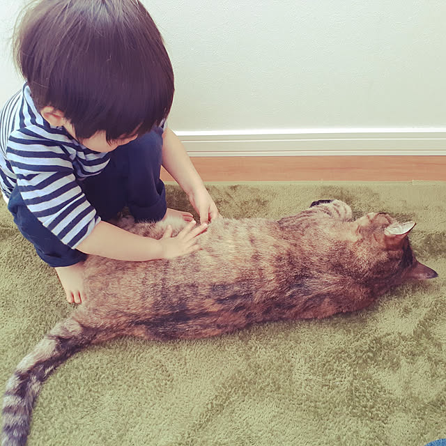 nisaさんの実例写真