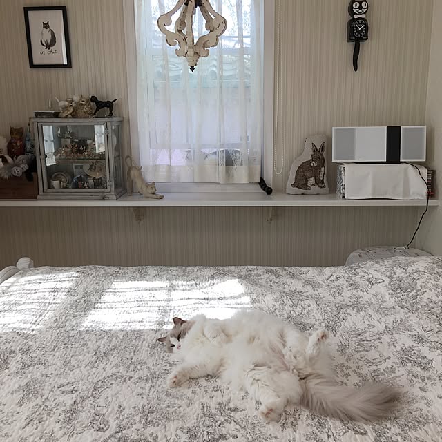 yuchiさんの実例写真