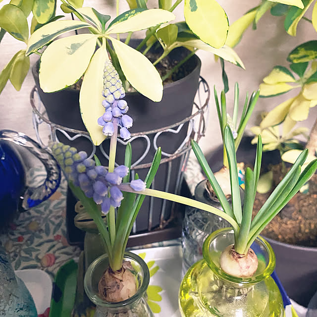 ChiCoさんの部屋