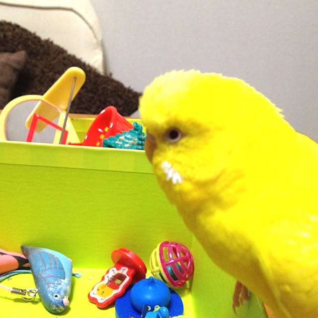 Rieさんの実例写真