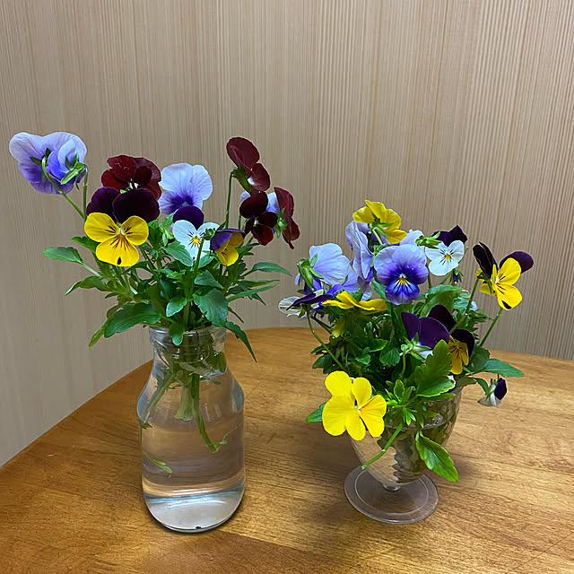 v.4ma-ma.0519さんの実例写真