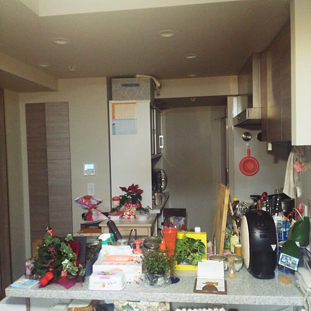 korilakkumausagiさんの実例写真
