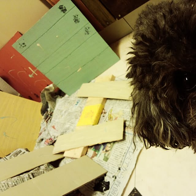 ariさんの実例写真