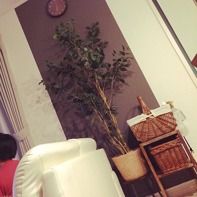 N705さんの実例写真