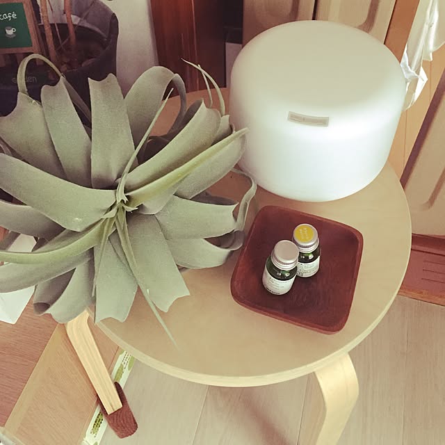 sachieさんの実例写真