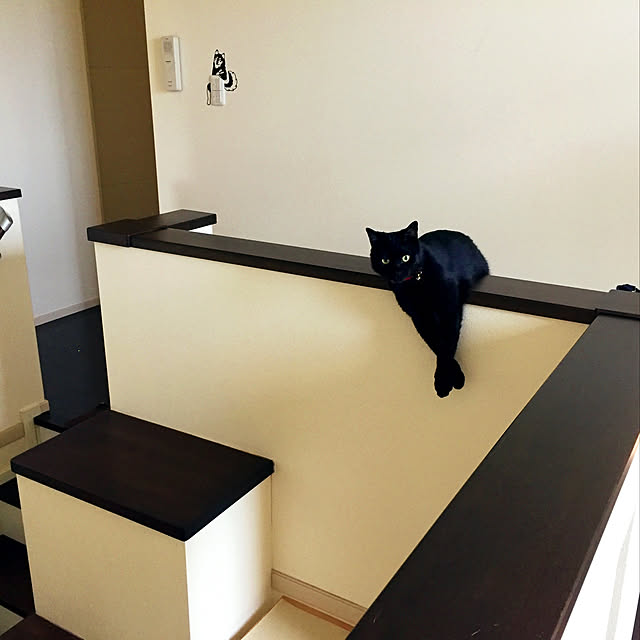 nanaさんの実例写真