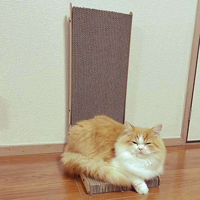 junさんの部屋