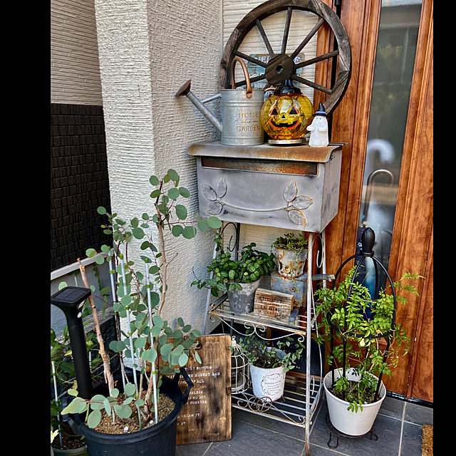 anko.hibuさんの実例写真