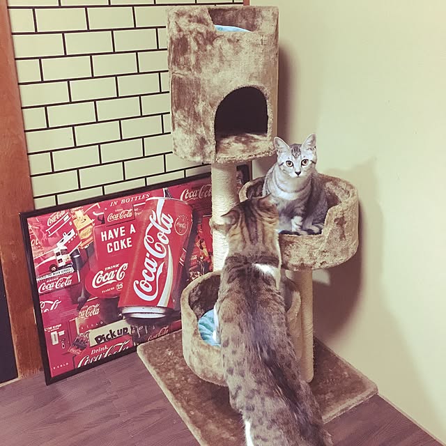 RANIさんの実例写真