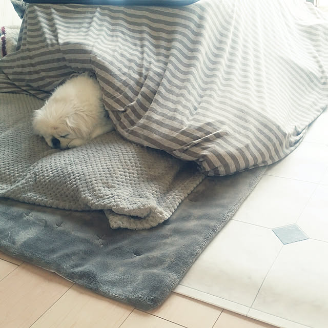 yukagomaさんの実例写真