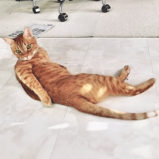 miyuさんの実例写真