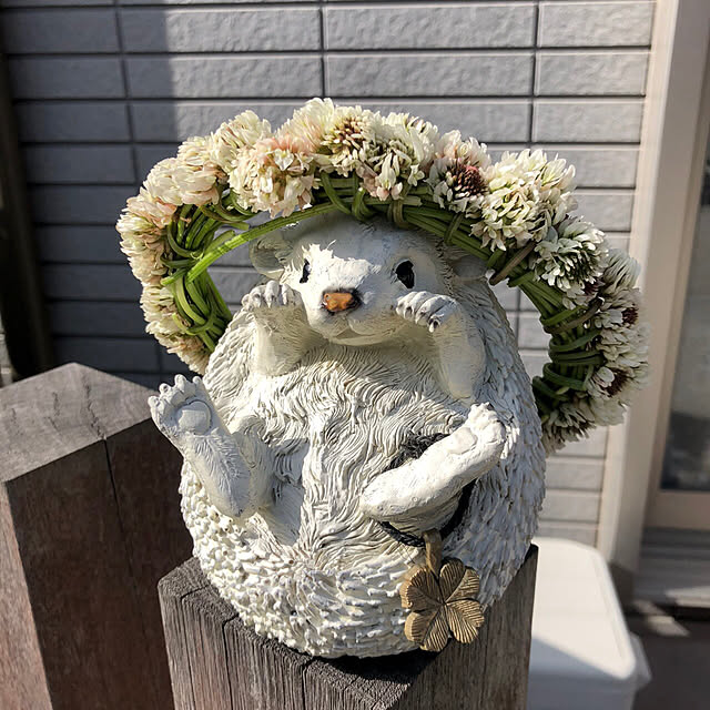 maikoroさんの実例写真