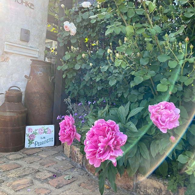 misacoさんの実例写真