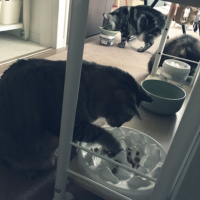 mikomaruさんの実例写真