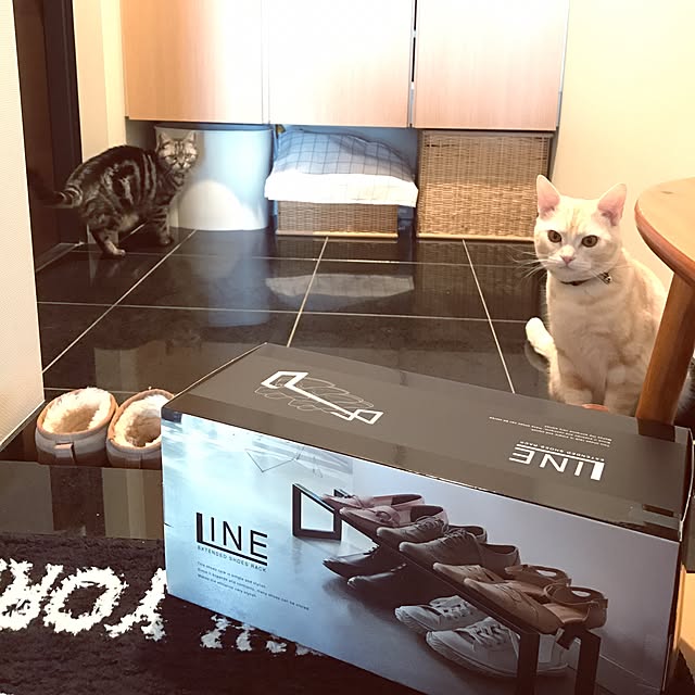 hiyupan88さんの実例写真