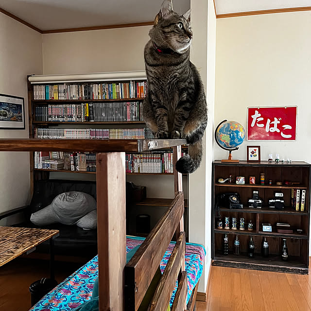 mikan161さんの実例写真