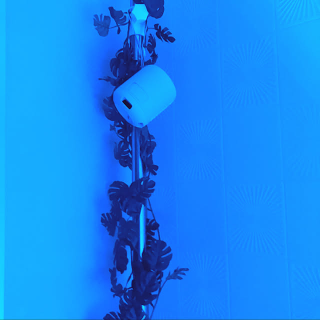 防水スピーカー/観葉植物/フェイクグリーン/リラックスバスタイム/一人暮らし...などのインテリア実例 - 2020-11-02 11:31:55