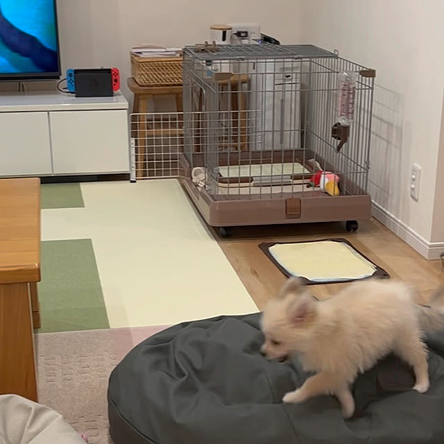 yuzumiさんの実例写真