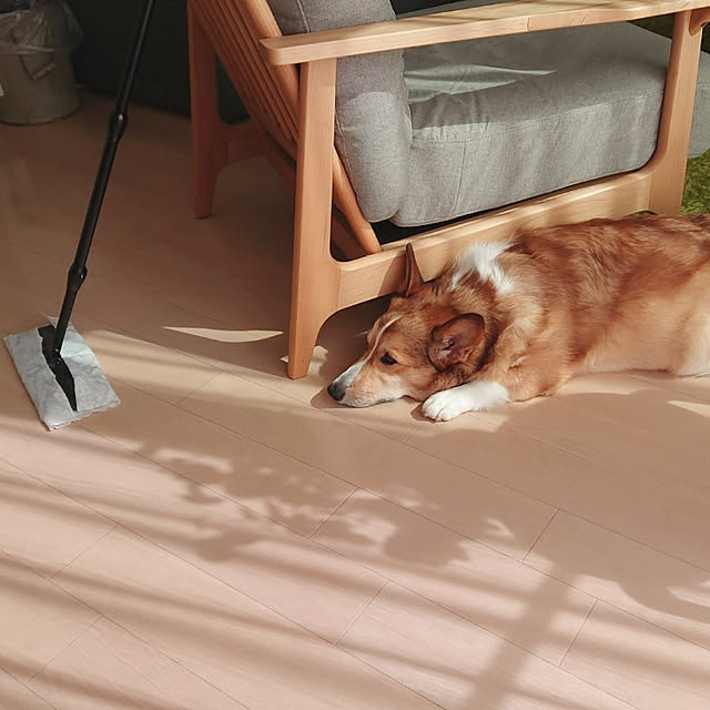 yaikoさんの実例写真