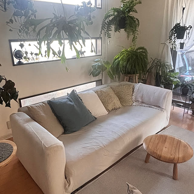 greycatsさんの部屋