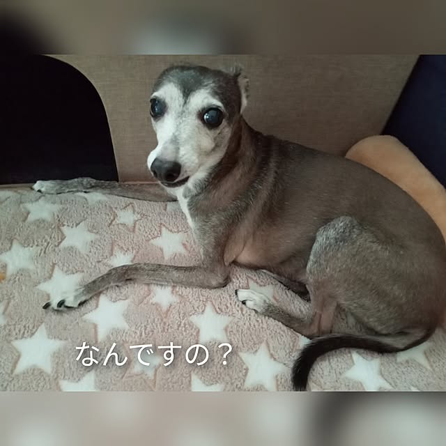 moruさんの部屋
