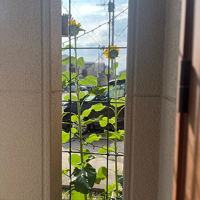 pekoさんの部屋