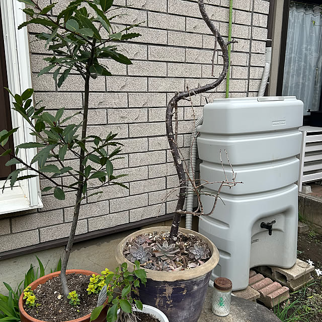 botanさんの部屋