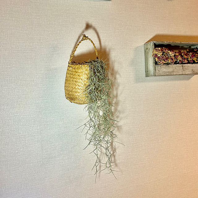 botanさんの部屋