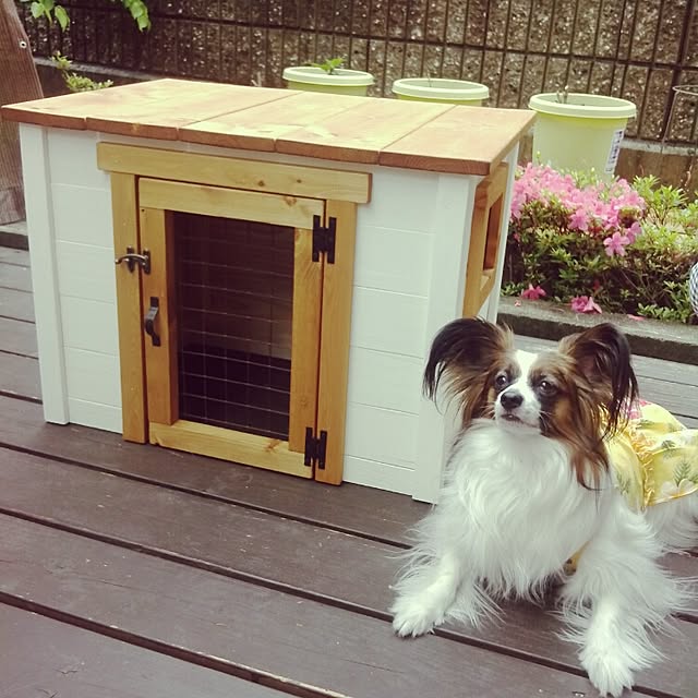 UGさんの実例写真