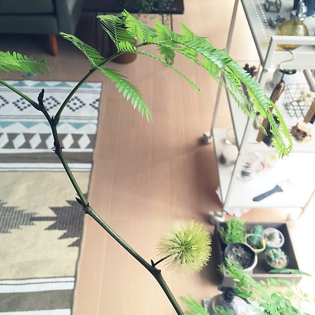 ao___.さんの実例写真