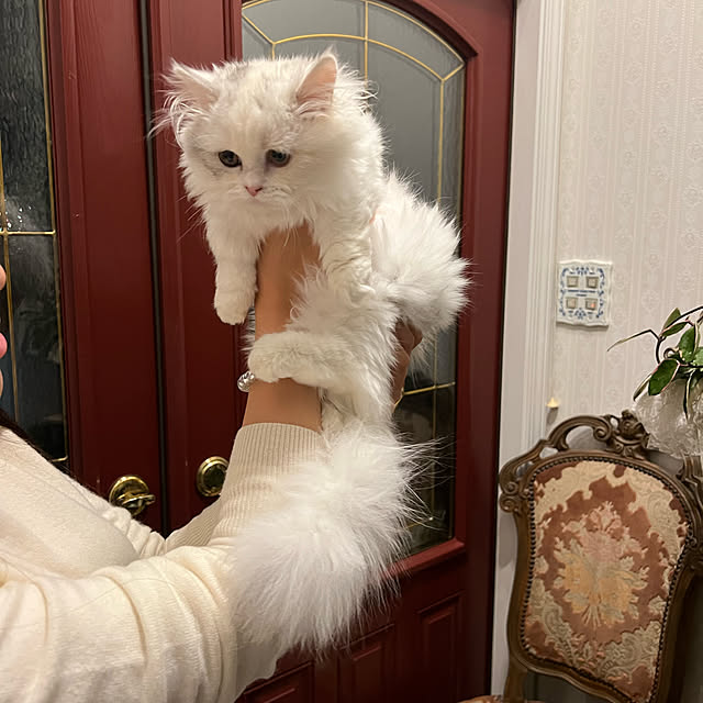 AYUKOさんの実例写真