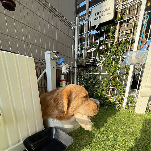marinkoさんの実例写真