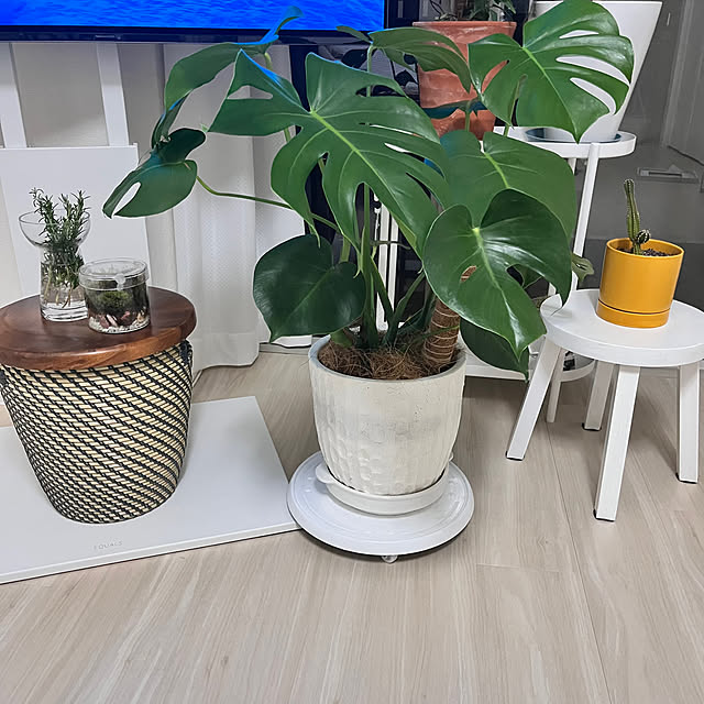 HITOさんの部屋