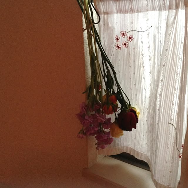 miiさんの実例写真