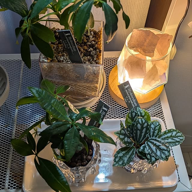 mi-saさんの部屋