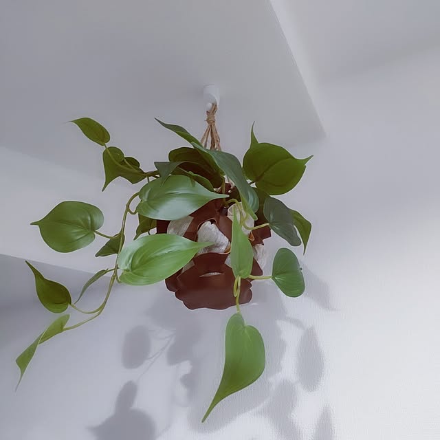 pinponmamさんの部屋