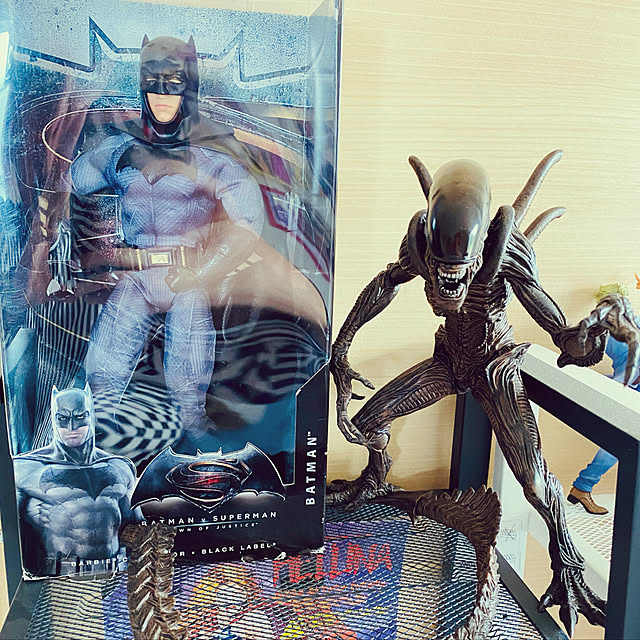 toshikunzebraさんの実例写真