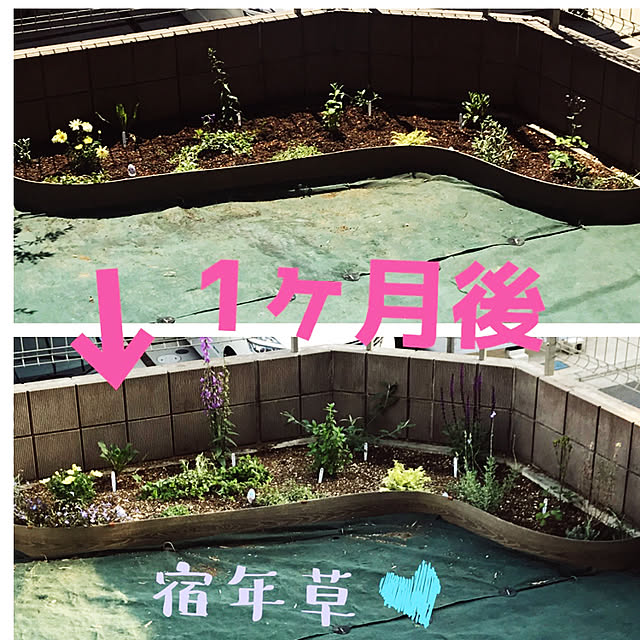 chi201さんの実例写真