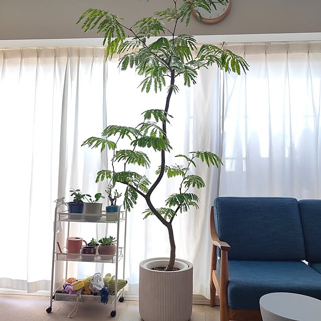 takuさんの実例写真