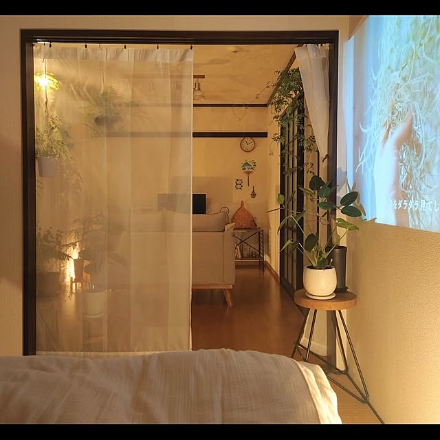 zunnchiさんの実例写真