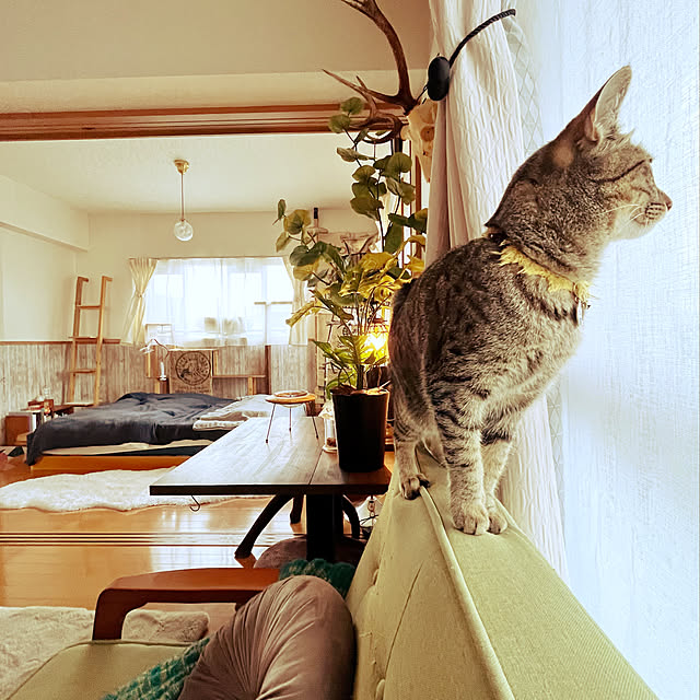 Mさんの実例写真