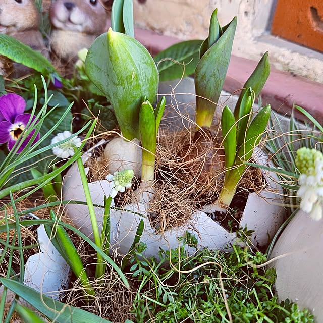 mocomocoさんの部屋