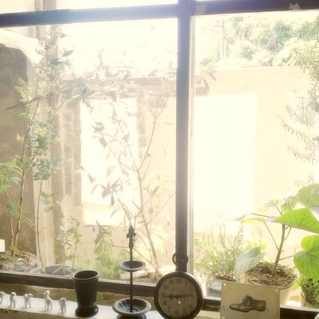 kimuさんの実例写真