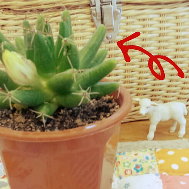 masax_xさんの実例写真